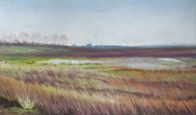 Neston Marsh_3