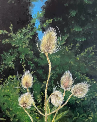 Teasles