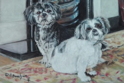 Harry &amp; Daisy