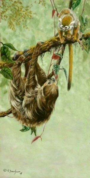 Exotic Climbers