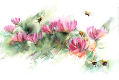 Bees on honeysuckle