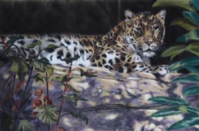 Dappled