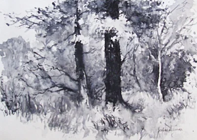 Connop Ponds