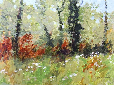 Cow Parsley