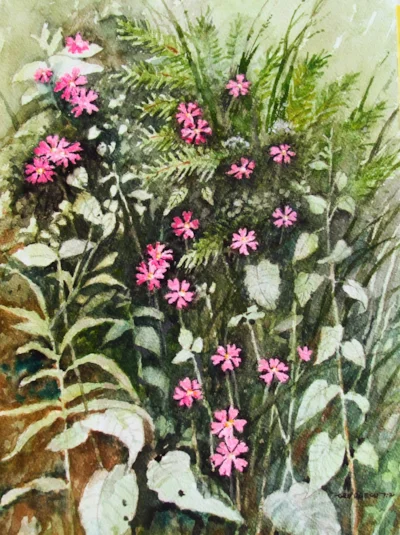 DSCF4820