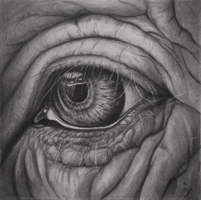 Eye copy