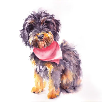 Fozzie2