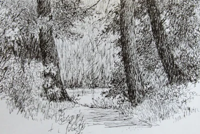 Hunstrete Lake.