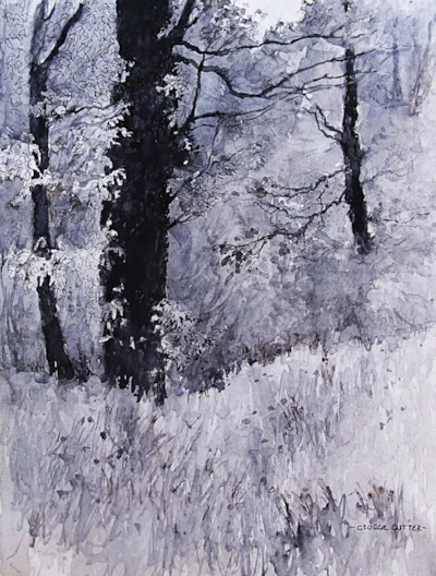 Hunstrete Woods