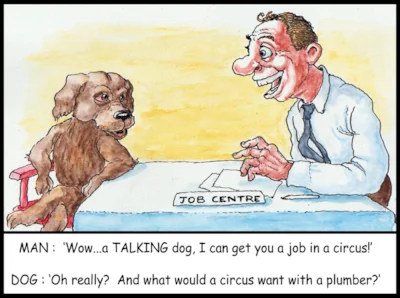 talking dog