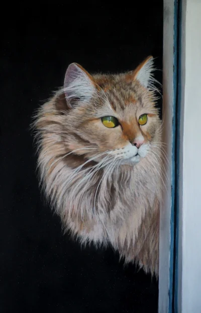 The Lookout
