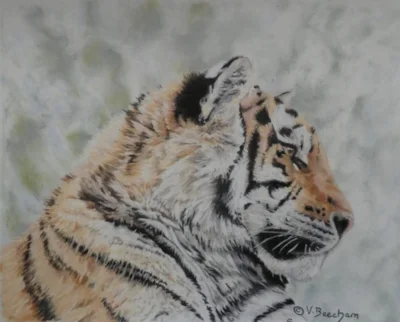 TigerCub