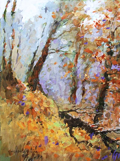 Woodland walk in Autumn.