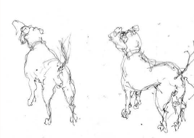 Dog, ink sketch